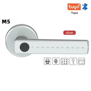 RAYKUBE M5  Smart Fingerprint Door Lock